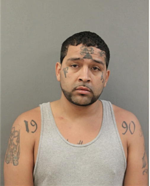 JESUS SUAREZ, Cook County, Illinois