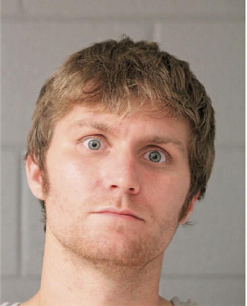 DAVID M TIEMAN, Cook County, Illinois