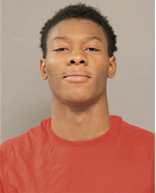 CHRISTOPHER E WILLIAMS, Cook County, Illinois