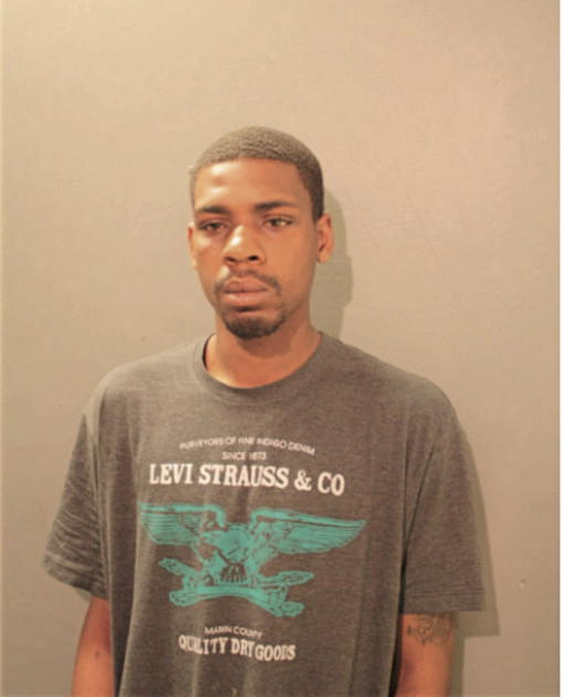 MICHAEL R ADAMS, Cook County, Illinois