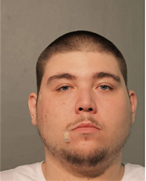 ADRIAN J BORGES, Cook County, Illinois