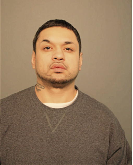 FIDEL CALVILLO, Cook County, Illinois