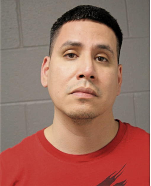 ROGELIO P CRUZ, Cook County, Illinois