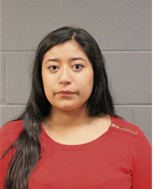 DANIEL E ESTRADA, Cook County, Illinois