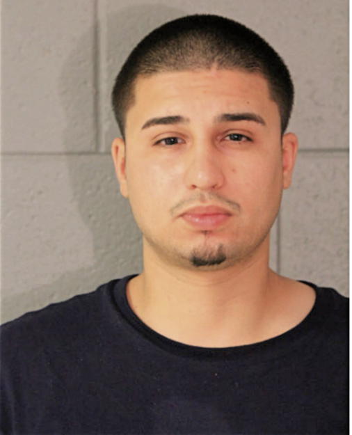 VICENTE FERNANDEZ, Cook County, Illinois