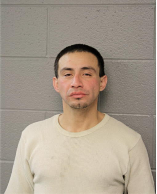 JUAN A GONZALES, Cook County, Illinois