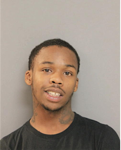 JERRY J HARRIS, Cook County, Illinois
