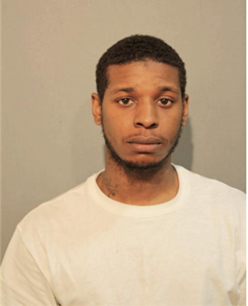 TIMOTHY D HAYNES, Cook County, Illinois