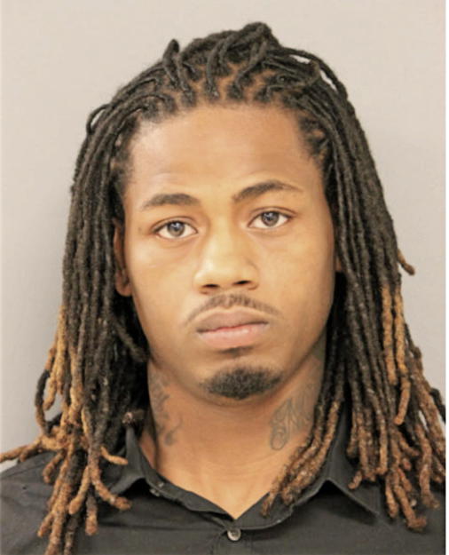 DARYL D HERRING, Cook County, Illinois