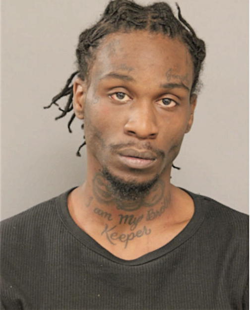 JOSHUA S HUNT, Cook County, Illinois