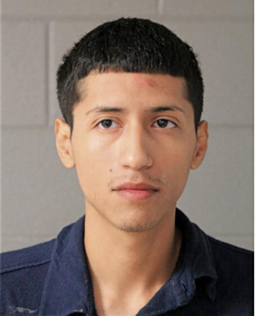 JESUS MEJIA, Cook County, Illinois