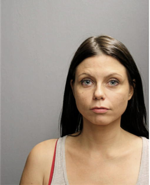 ALICYN T NOVIT, Cook County, Illinois