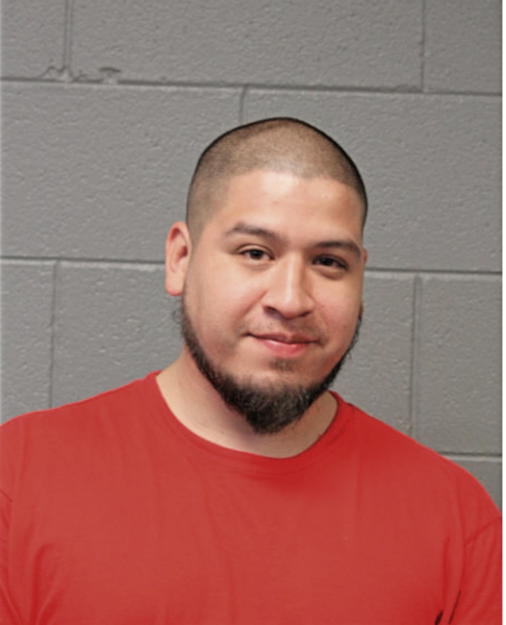 PETER ORTEGA, Cook County, Illinois