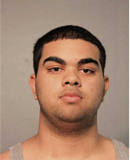 MARK C ORTIZ, Cook County, Illinois