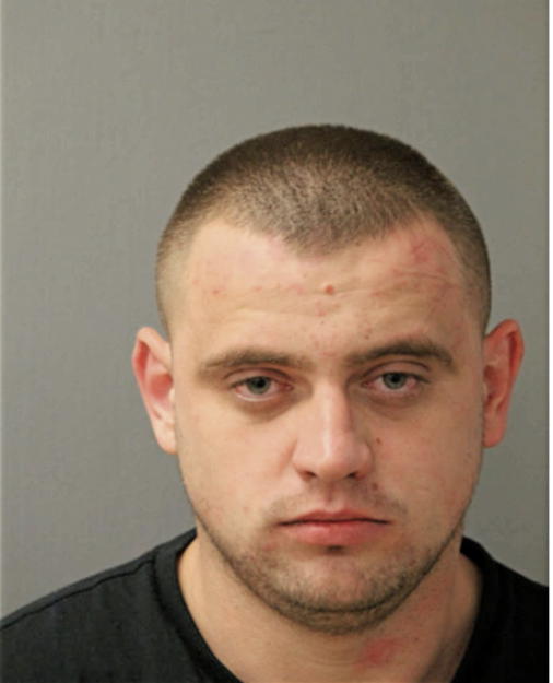VITALIK PAVELKO, Cook County, Illinois