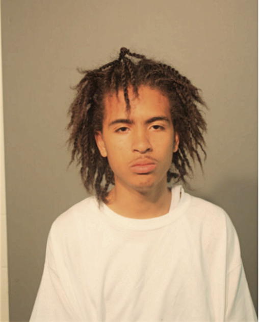 NICHOLAS S RIVERA, Cook County, Illinois