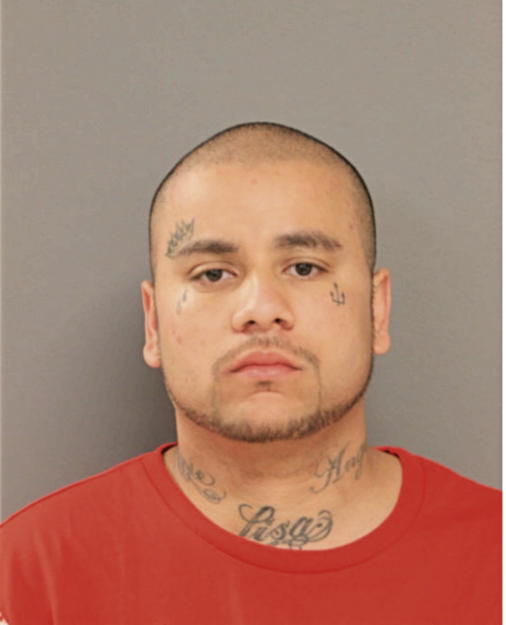 ANGEL J ROSARIO, Cook County, Illinois