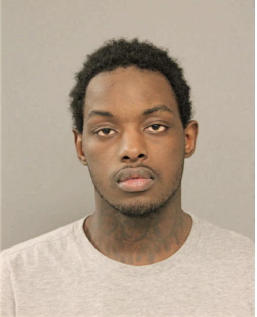 ERIC R SAMUELS, Cook County, Illinois