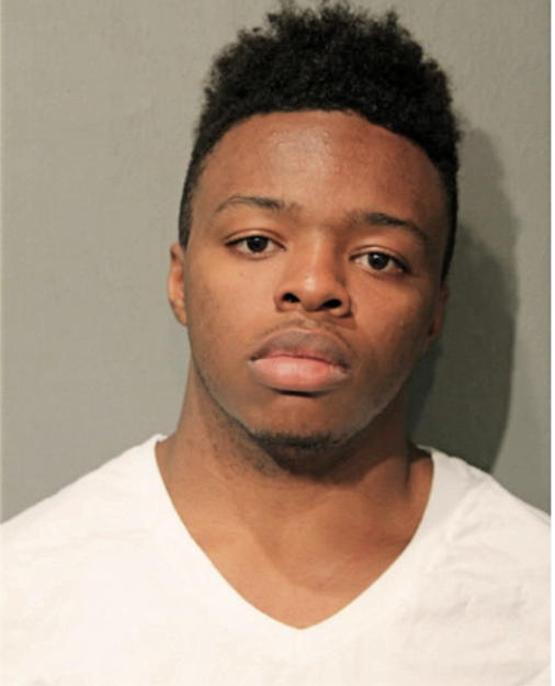 DEMARIS D VILLANUEVA, Cook County, Illinois