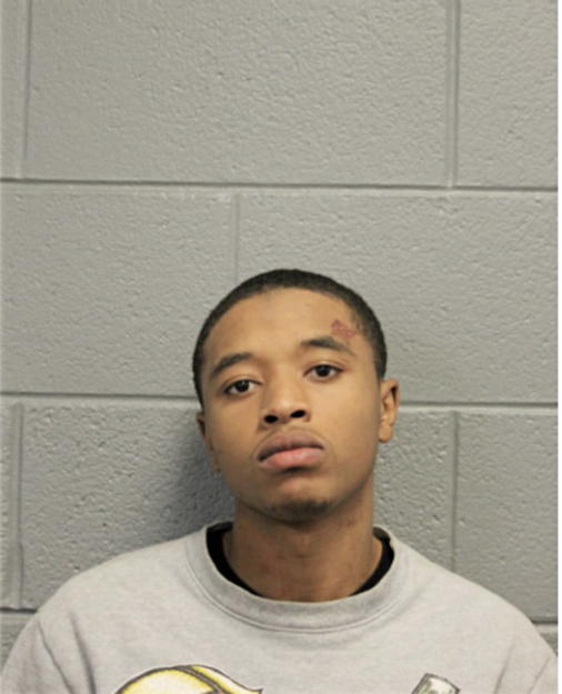 HEZEKIAH D WYATT, Cook County, Illinois