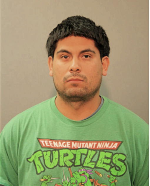 RENE ACUNA, Cook County, Illinois