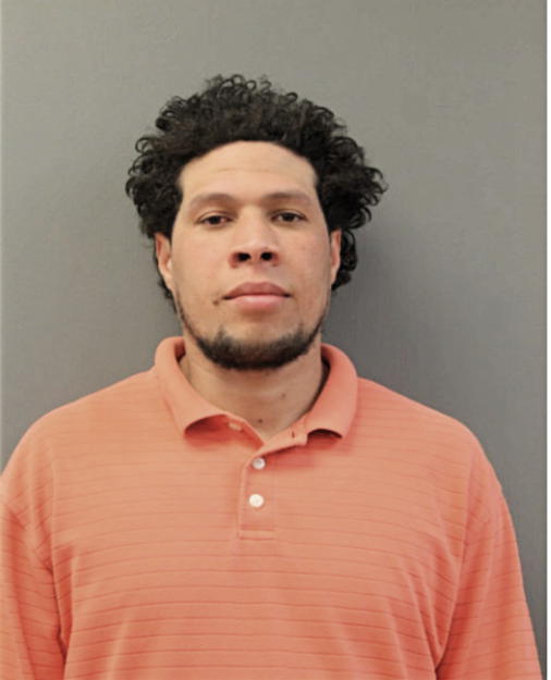 CHRISTIAN D ANDINO, Cook County, Illinois