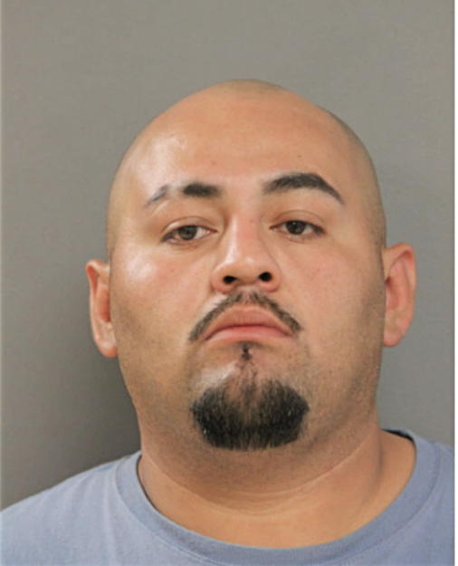 LUIS G CORONEL, Cook County, Illinois