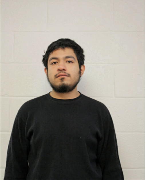 JOSE G DEVORA, Cook County, Illinois