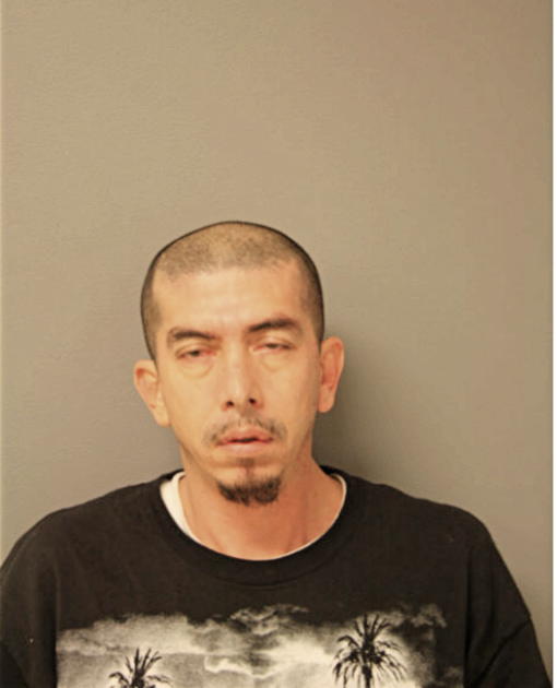 LUIS GARCIA, Cook County, Illinois