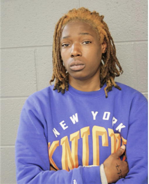 ASHLEY JOHNSON, Cook County, Illinois