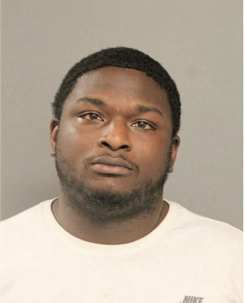 DEMARIO K JOHNSON, Cook County, Illinois