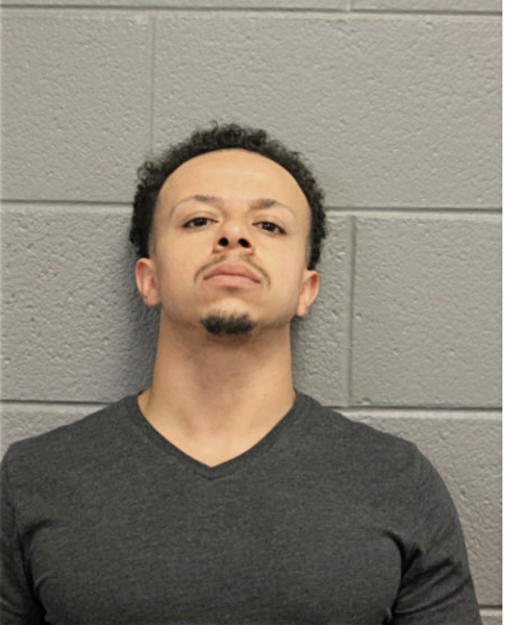 LUIS M MALDONADO, Cook County, Illinois
