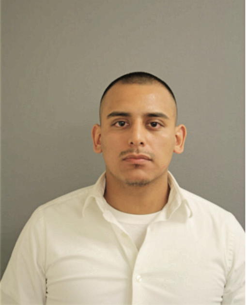 MICHAEL N NEGRETE, Cook County, Illinois