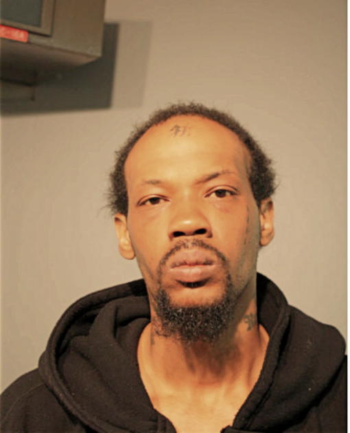 BRANDON D PRUITT, Cook County, Illinois