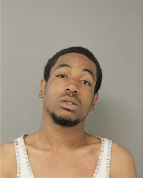 DAMIEN S RICHARDSON, Cook County, Illinois