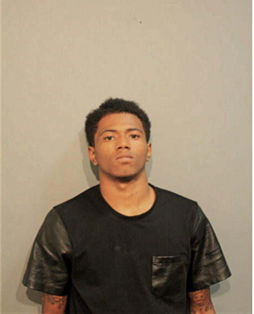 WAYNE Q SLATER, Cook County, Illinois
