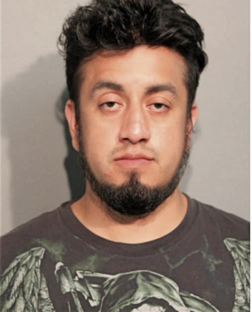 RODRIGO TRUJILLO, Cook County, Illinois
