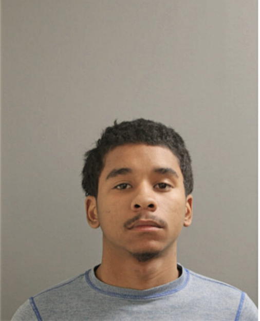 BRANDON J WADE, Cook County, Illinois