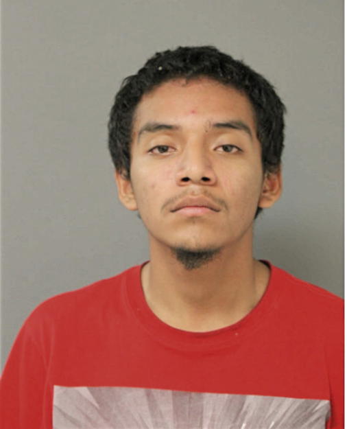 EMILIO AVELAR, Cook County, Illinois
