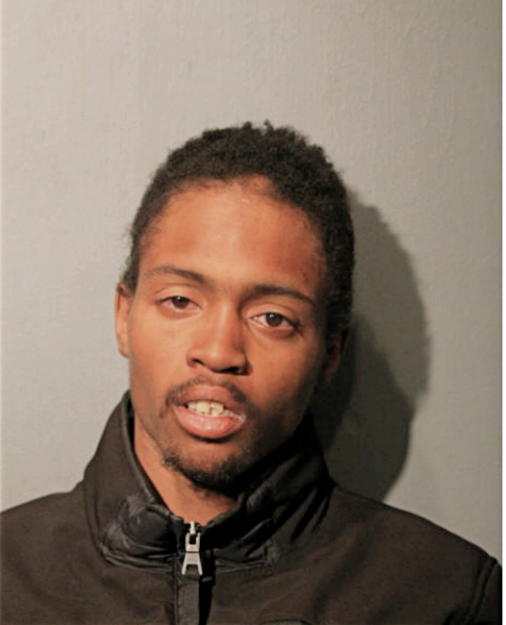 LORENZO R BERGMAN, Cook County, Illinois