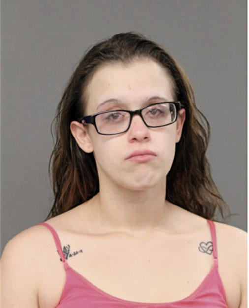 LARISA A GEHRING, Cook County, Illinois