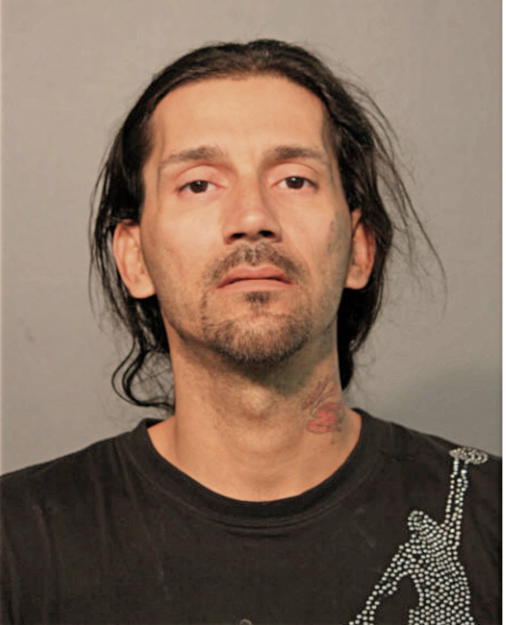 HECTOR L HERNANDEZ, Cook County, Illinois