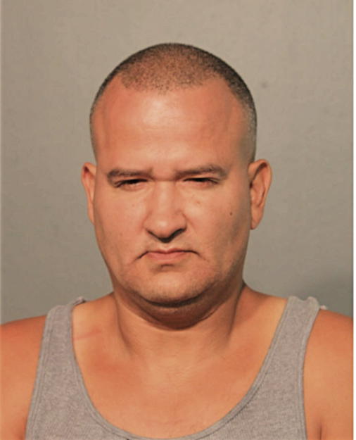 CARLOS LUIS MALAVE, Cook County, Illinois