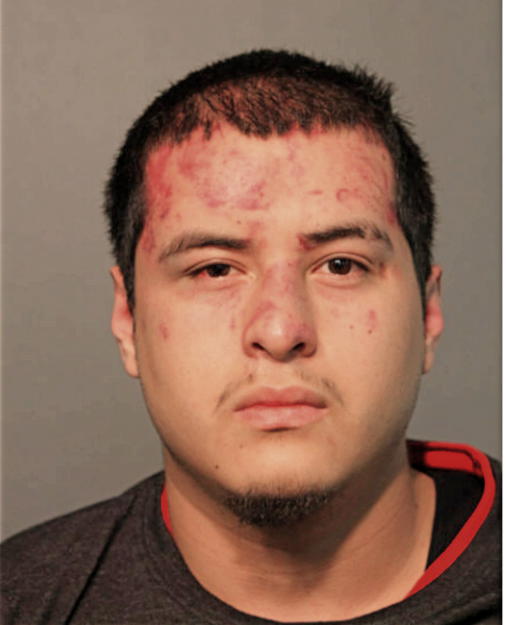 EDGAR M MARTINEZ, Cook County, Illinois