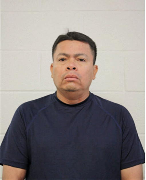 MAURO MENDOZA-GAYTAN, Cook County, Illinois