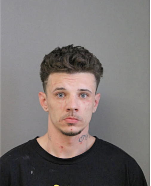 ANDREW J MESNARD, Cook County, Illinois