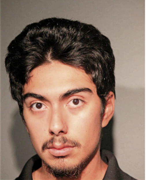 NOE J MONDRAGON, Cook County, Illinois