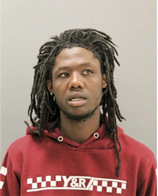 DEREK J NORMAN, Cook County, Illinois