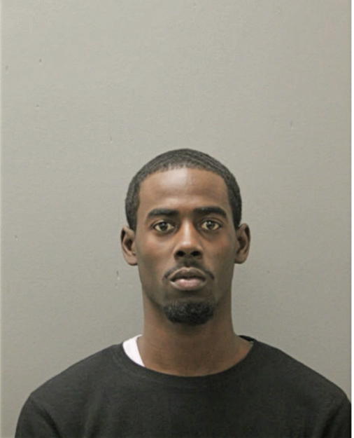 BRANDON D PALMER, Cook County, Illinois