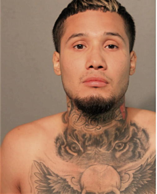 DAVID PEREZ, Cook County, Illinois